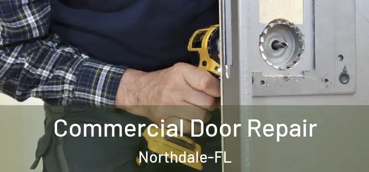  Commercial Door Repair Northdale-FL