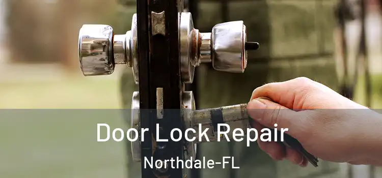  Door Lock Repair Northdale-FL