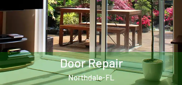  Door Repair Northdale-FL