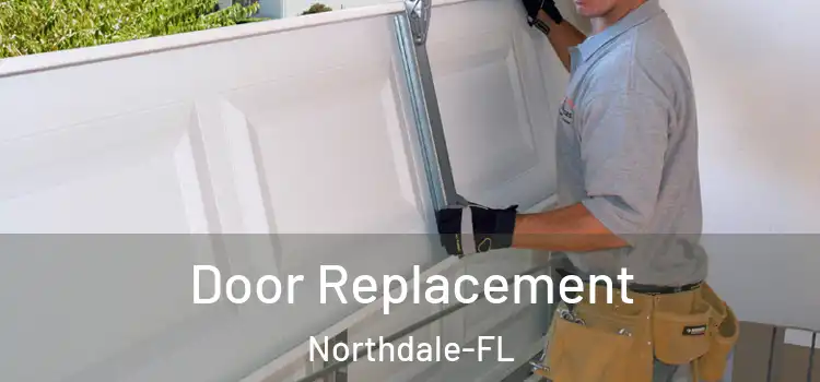  Door Replacement Northdale-FL