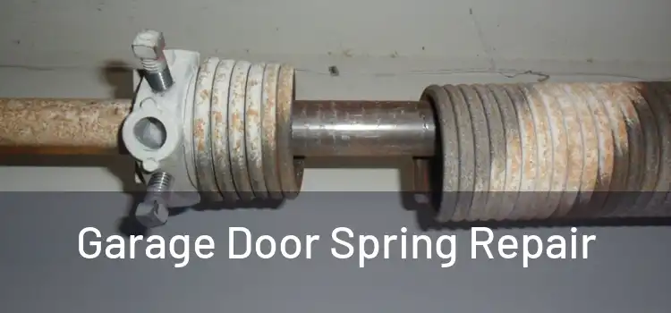  Garage Door Spring Repair 