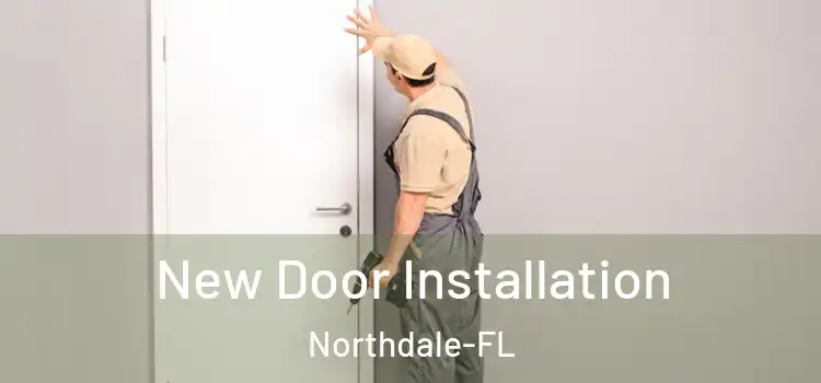  New Door Installation Northdale-FL