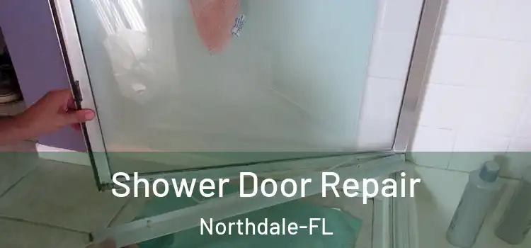  Shower Door Repair Northdale-FL